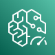 Amazon Elastic Inference